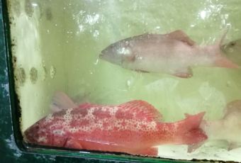 新河饭店(新河路店) User Photo