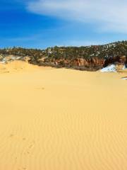 Parc d'État de Coral Pink Sand Dunes