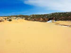 Parc d'État de Coral Pink Sand Dunes