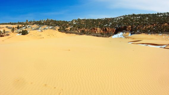 Coral Pink Sand Dunes State Park