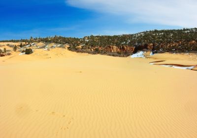 Coral Pink Sand Dunes State Park