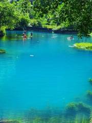 澄江国家湿地公園