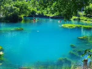 澄江国家湿地公園