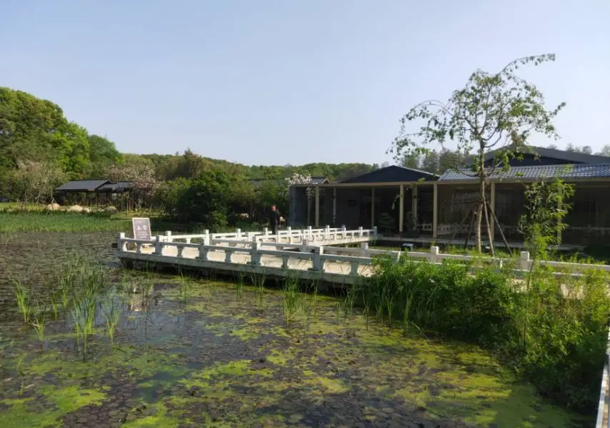 Lotus Garden of East Lake