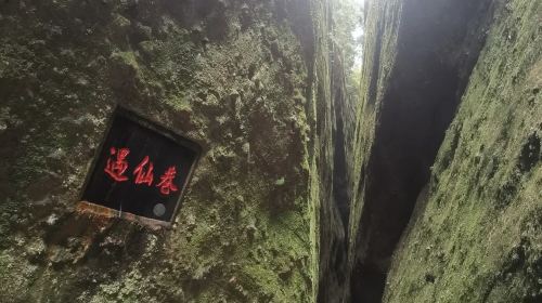 Tianyi Alley Scenic Area