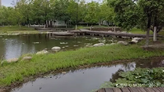 Wetland Park