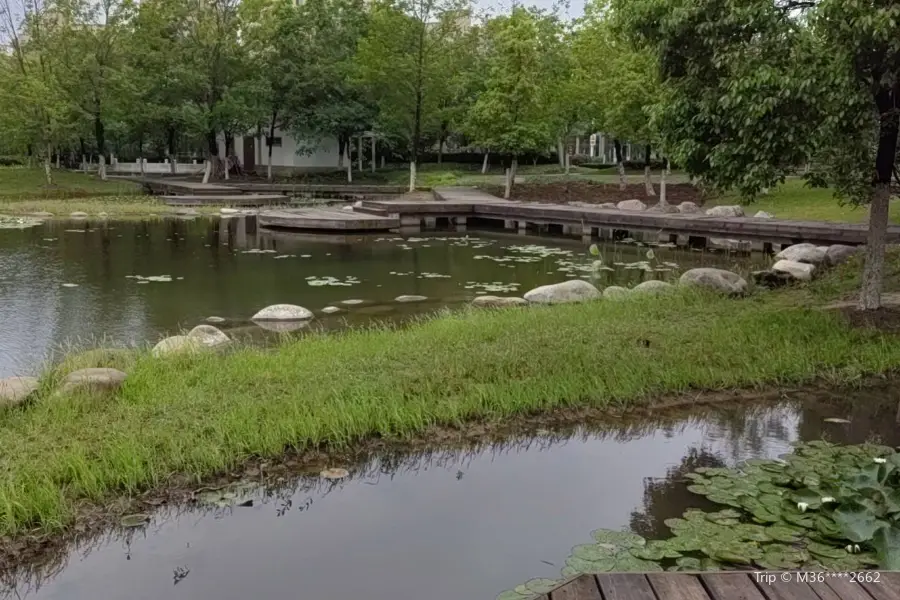 Wetland Park