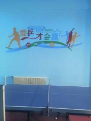 苗宇乒乓球俱樂部