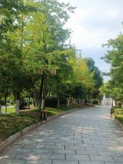 雁家湖植物園