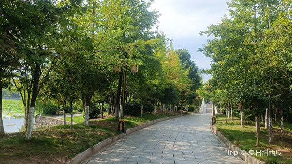 Yanjiahu Botanical Garden