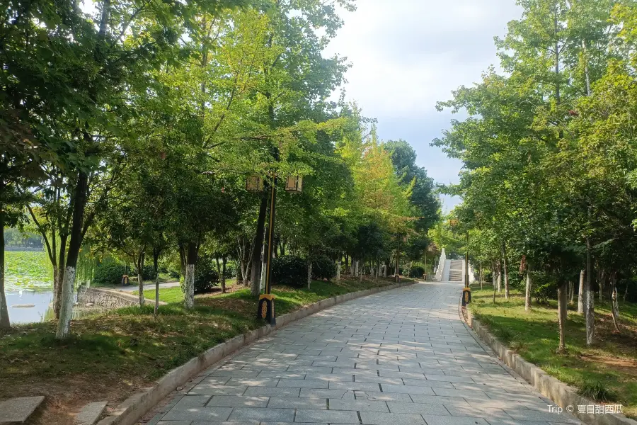 雁家湖植物園