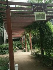 Xi'an Jiaotong Daxue Yao Xueyuan-Yaoyong Botanical Garden