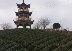 Fenggangxian Zhiqingcha Mountain Sceneic Area