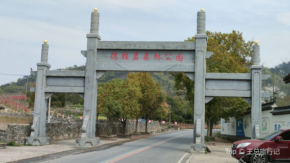 Де-Шэнь-Лоу