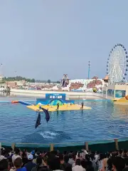 山海關歡樂海洋公園