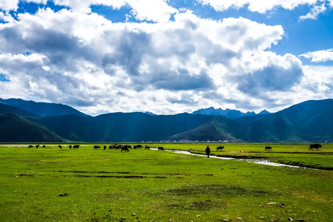 Hotel berhampiran Shangri-La Scenic Area