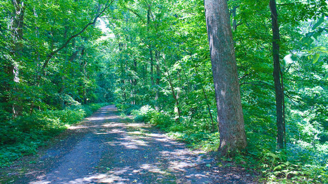 Monte Sano State Park