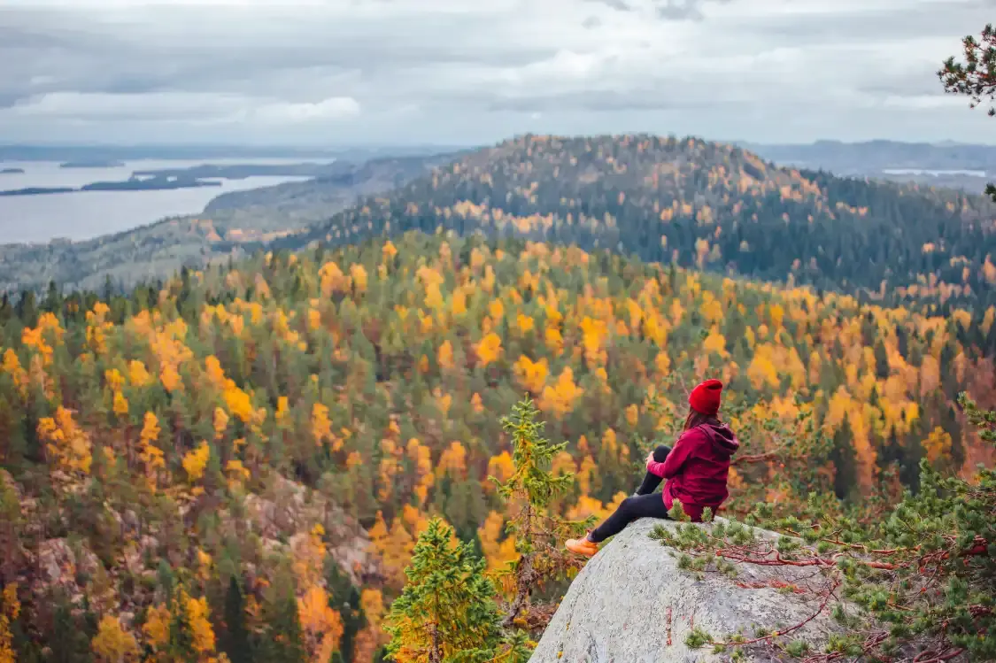 Hotels near Koli National Park