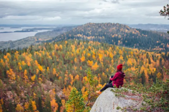 Koli National Park