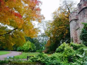 National Trust - Dunster Castle and Watermill