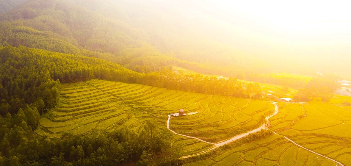 Things to Do in Gaoming District in 2025 Top Attractions, Local Food