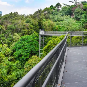Southern Ridges