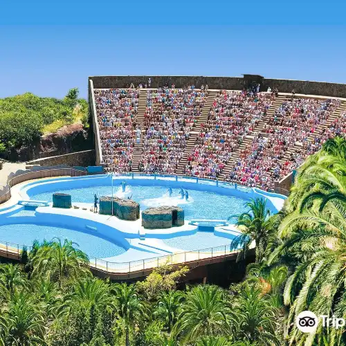 Popular Family-friendly Attractions in Comarca Sur