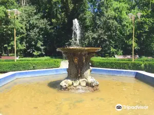 Buziaș Park