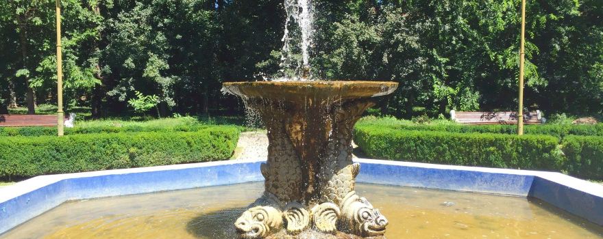 Buziaș Park