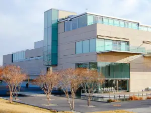 버지니아 뮤지엄 오브 파인 아츠
