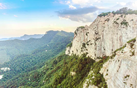 大蘆花景區門票成人