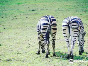 ZOO GDAŃSK