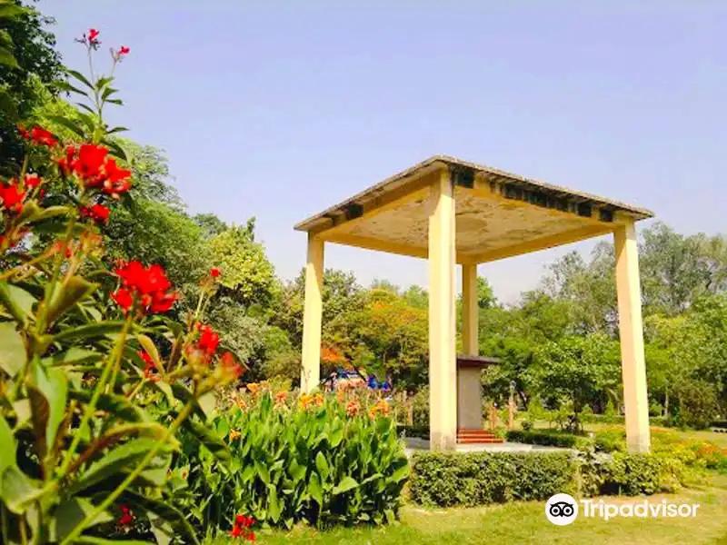 Hotels near Phool Bagh Park