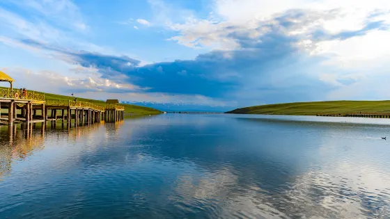巴音布魯克天鵝湖