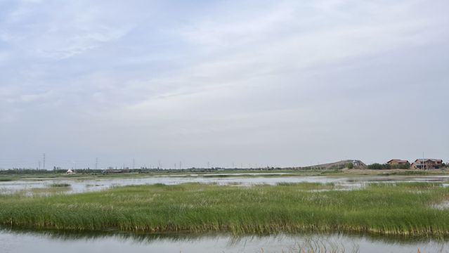 Inner Mongolia Linhe Yellow River National Wetland Park