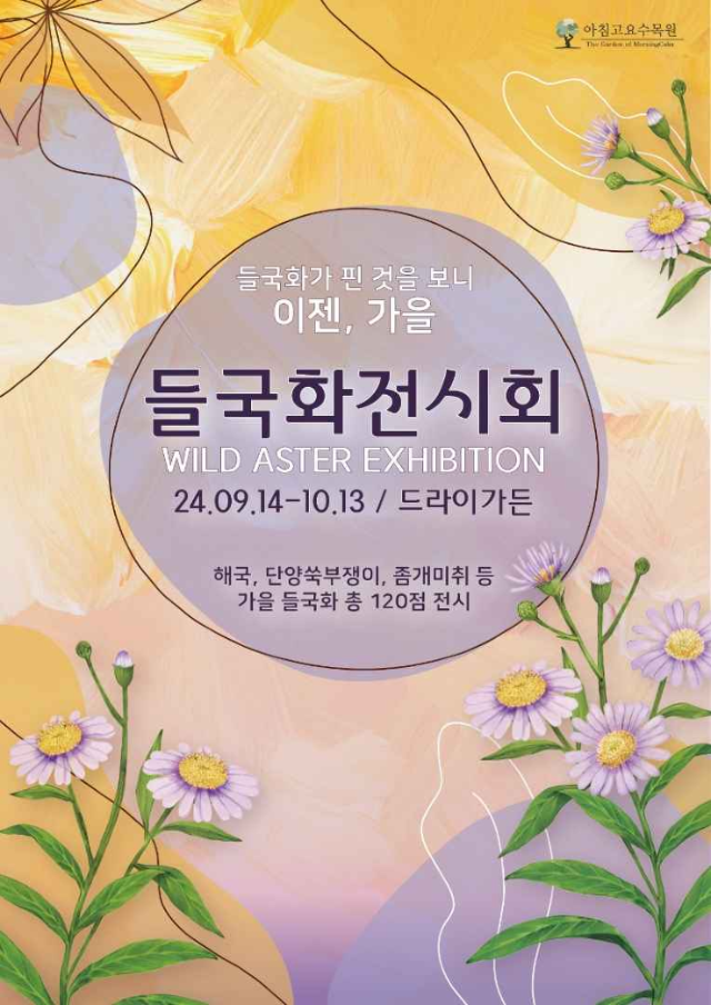 아침고요수목원 들국화전시회 | 가평군