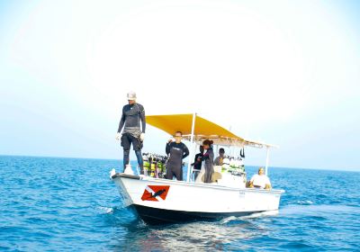 AL JAZEERA DIVING & SWIMMING CENTER