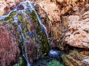 Sitting Bull Falls Recreation Area