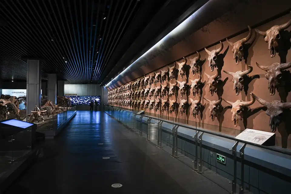 4_Daqing Museum