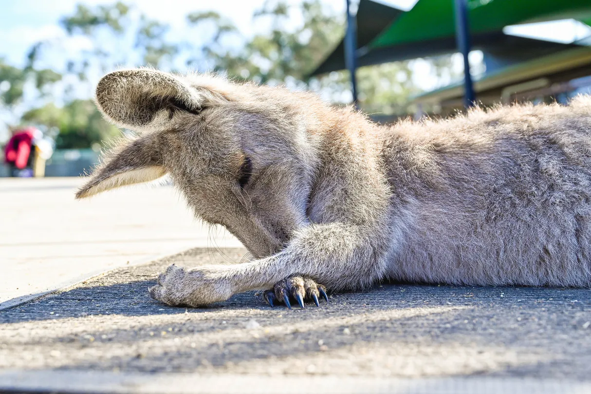 4_月光保護區野生動物保育公園