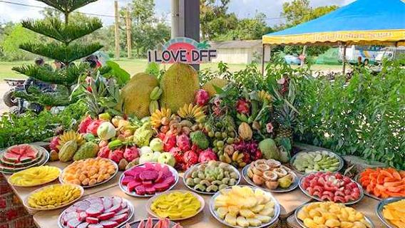 Desaru Fruit Farm