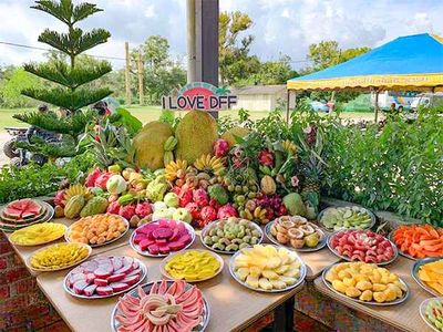 Desaru Fruit Farm