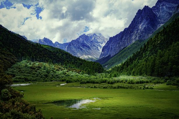 Daocheng Yading - Chonggu Meadow