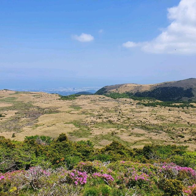 제즈도 한라산 영실코스