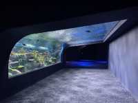 【沖縄】DMMかりゆし水族館