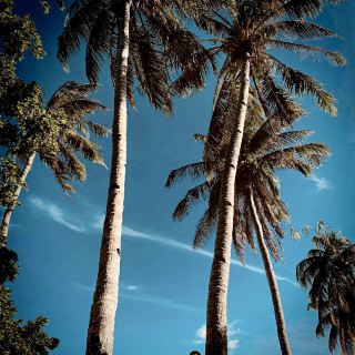 El nido, Palawan