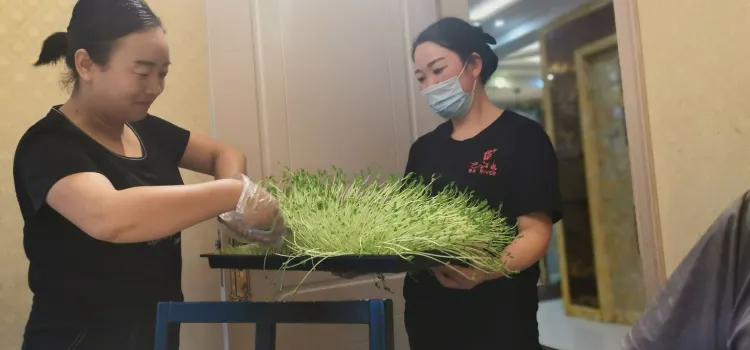 重慶巴江水新派養生火鍋