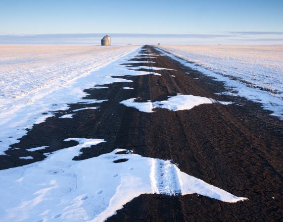 穆斯喬 自由行套票