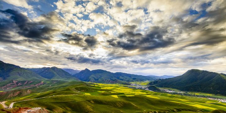 Qilian Mountain Grassland