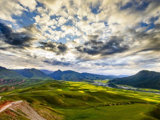 Qilian Mountain Grassland